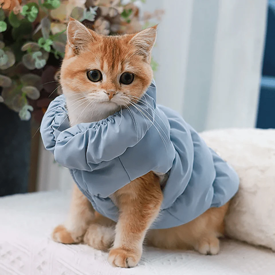 Zachte Gevoerde Jas Voor Honden En Katten | Winterjas Met Warme Binnenvoering | Ideaal Voor Kleine Rassen | Geschikt Voor Herfst En Winter | Verkrijgbaar In Roze, Blauw, Kaki | Comfortabele Pasvorm - Image 4