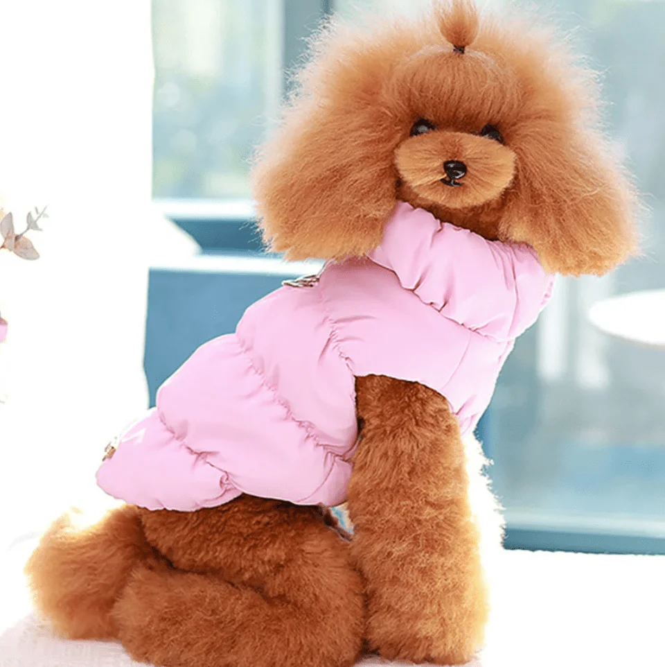 Zachte Gevoerde Jas Voor Honden En Katten | Winterjas Met Warme Binnenvoering | Ideaal Voor Kleine Rassen | Geschikt Voor Herfst En Winter | Verkrijgbaar In Roze, Blauw, Kaki | Comfortabele Pasvorm - Image 8