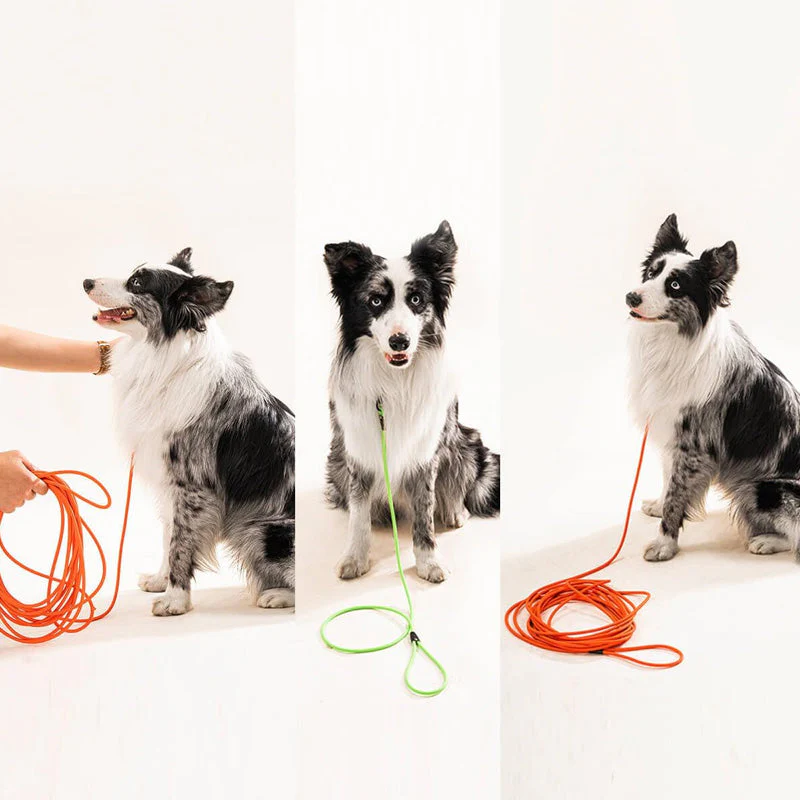 Waterdichte PVC Hondenlijn | Geurresistente & Gemakkelijk te Reinigen Riem | Voor Kleine tot Grote Honden | Beschikbaar in Diverse Lengtes | Zacht en Comfortabel | Anti-Knoop Design | Geschikt voor Alle Weersomstandigheden - Image 2