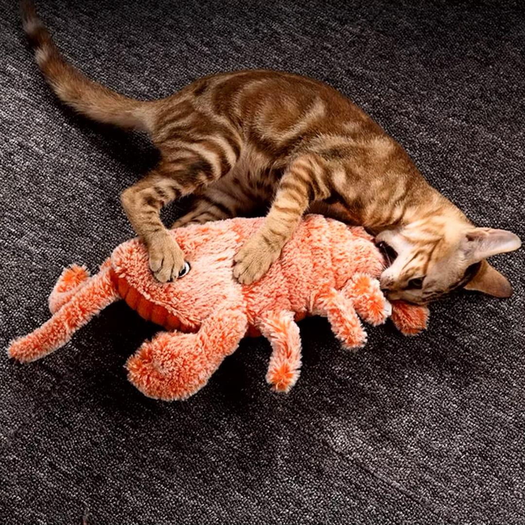 Interactief Speelgoed Kreeft | Mentale Stimulatie voor Honden | Onvoorspelbare Bewegingspatronen | Angstreductie en Lichamelijke Activiteit | Houdt Honden Urenlang Vermaakt | Voorkomt Destructief Kauwen | Piepend Plezier voor Actieve Honden - Image 4