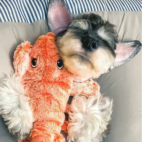 Interactief Speelgoed Kreeft | Mentale Stimulatie voor Honden | Onvoorspelbare Bewegingspatronen | Angstreductie en Lichamelijke Activiteit | Houdt Honden Urenlang Vermaakt | Voorkomt Destructief Kauwen | Piepend Plezier voor Actieve Honden - Image 5