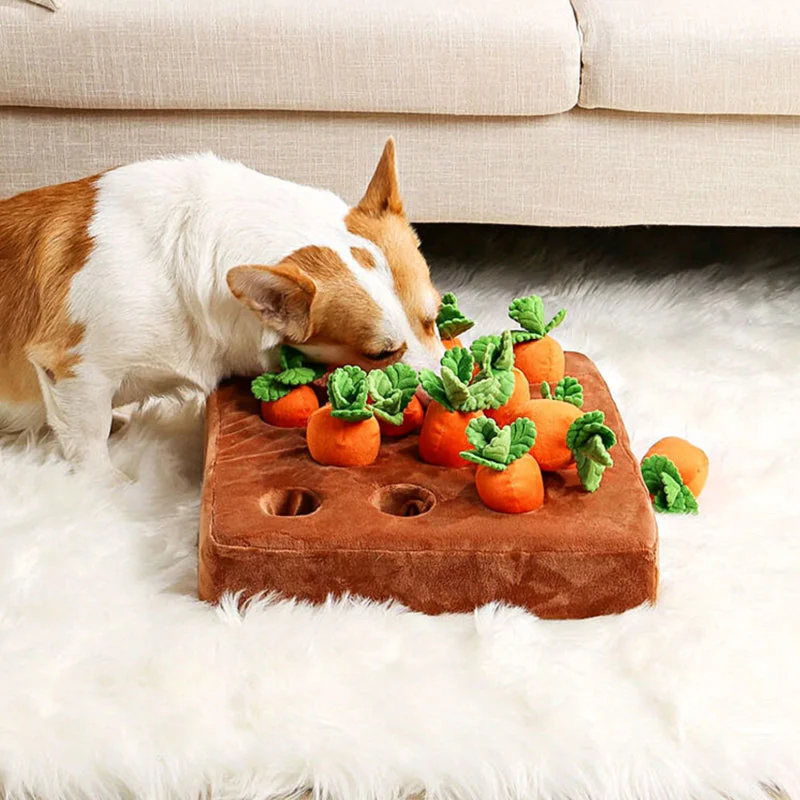 Interactieve Speeltuin met Verstopte Traktaties voor Honden | Mentale Stimulatie Puzzel met Afneembaar, Wasbaar Onderdeel | Geschikt voor Alle Honden | Duurzaam en Veilig Hondenspeeltje