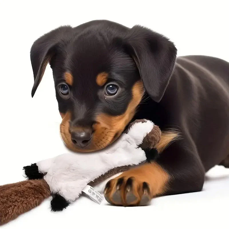 Vrolijk Interactief Hondenspeelgoed | Zacht Fleece Piepbeest | Duurzame Kauwspeeltjes | Dierlijke Vormen zoals Pinguïn, Vos en Eekhoorn | Veilig voor Tanden en Tandvlees | Langdurig Plezier voor Actieve Kauwers - Image 3