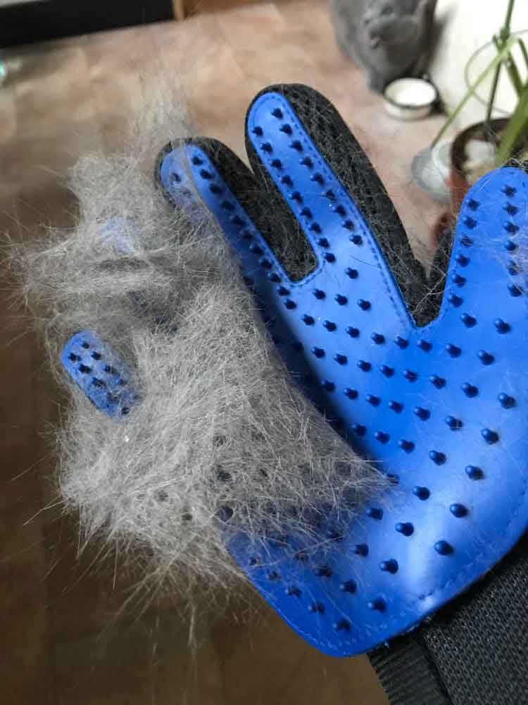 Verzorgingshandschoen voor huisdieren | Zachte siliconen borstelharen | Verwijdert klitten en overtollig haar | Geschikt voor nat en droog gebruik | Comfortabel voor de gevoelige huid van uw huisdier | Handige en multifunctionele verzorgingsoplossing - Image 6