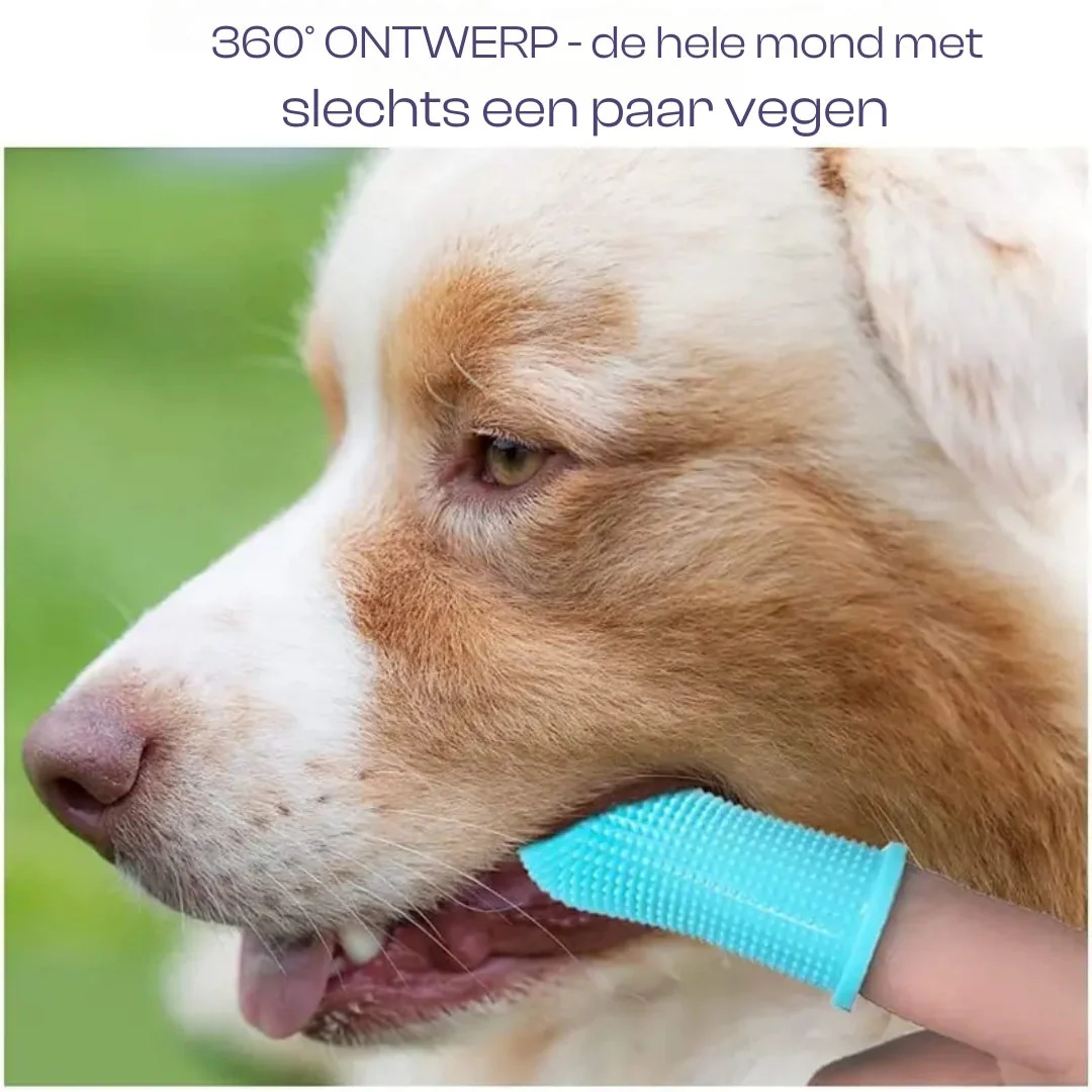 Zachte Siliconen Borstelharen voor Huisdier | Gemakkelijk Handvat Design | Duurzaam Siliconen | Roze, Blauw, Wit - Image 2