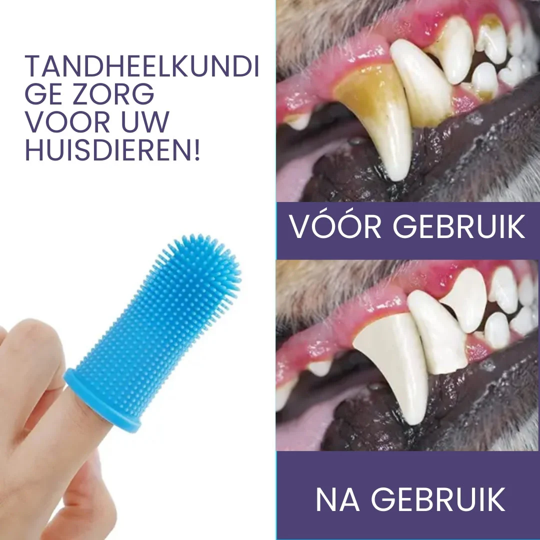 Zachte Siliconen Borstelharen voor Huisdier | Gemakkelijk Handvat Design | Duurzaam Siliconen | Roze, Blauw, Wit - Image 5