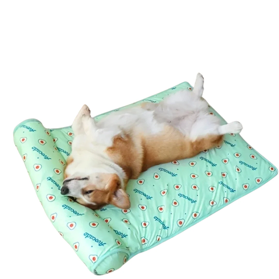 Chill Zone │ Zelfkoelend Kussen voor Honden │ Pluche Ondersteuning │ Lichtgewicht en Draagbaar │ Roze, Groen, Blauw │ Verschillende Maten - Image 3