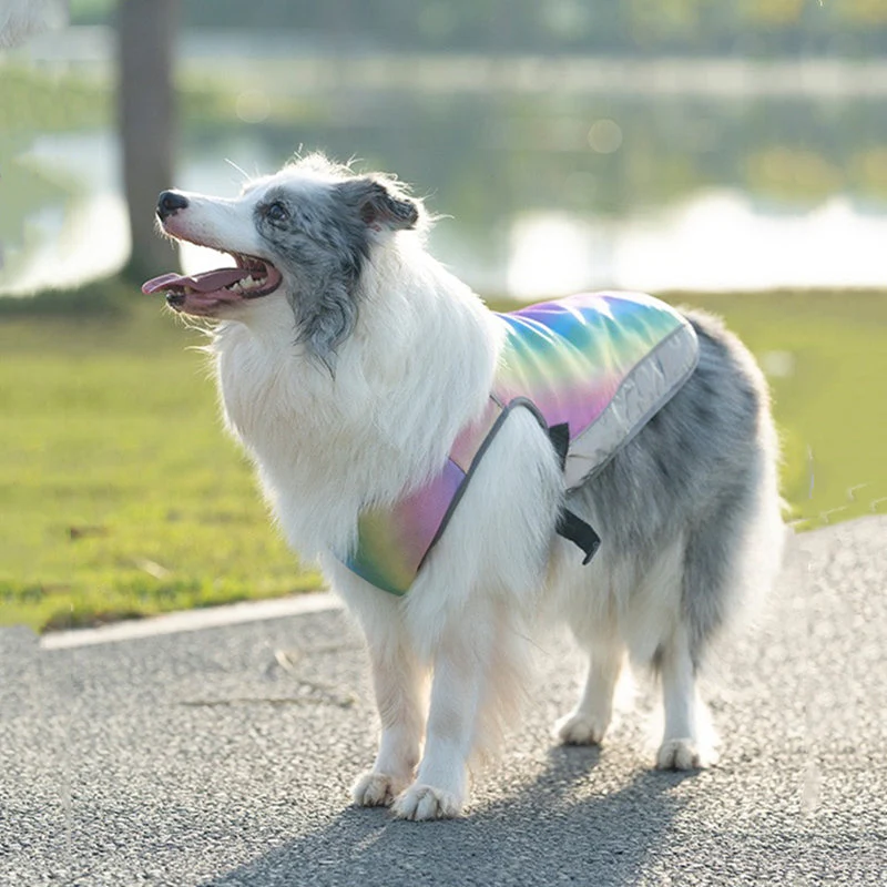Verkoelend Hondenvest | Verstelbaar & Reflecterend | Hond Hittebescherming | Comfortabel Ademend Mesh | Harnasvriendelijk | Blauw & Regenboog | S-XXL - Image 2