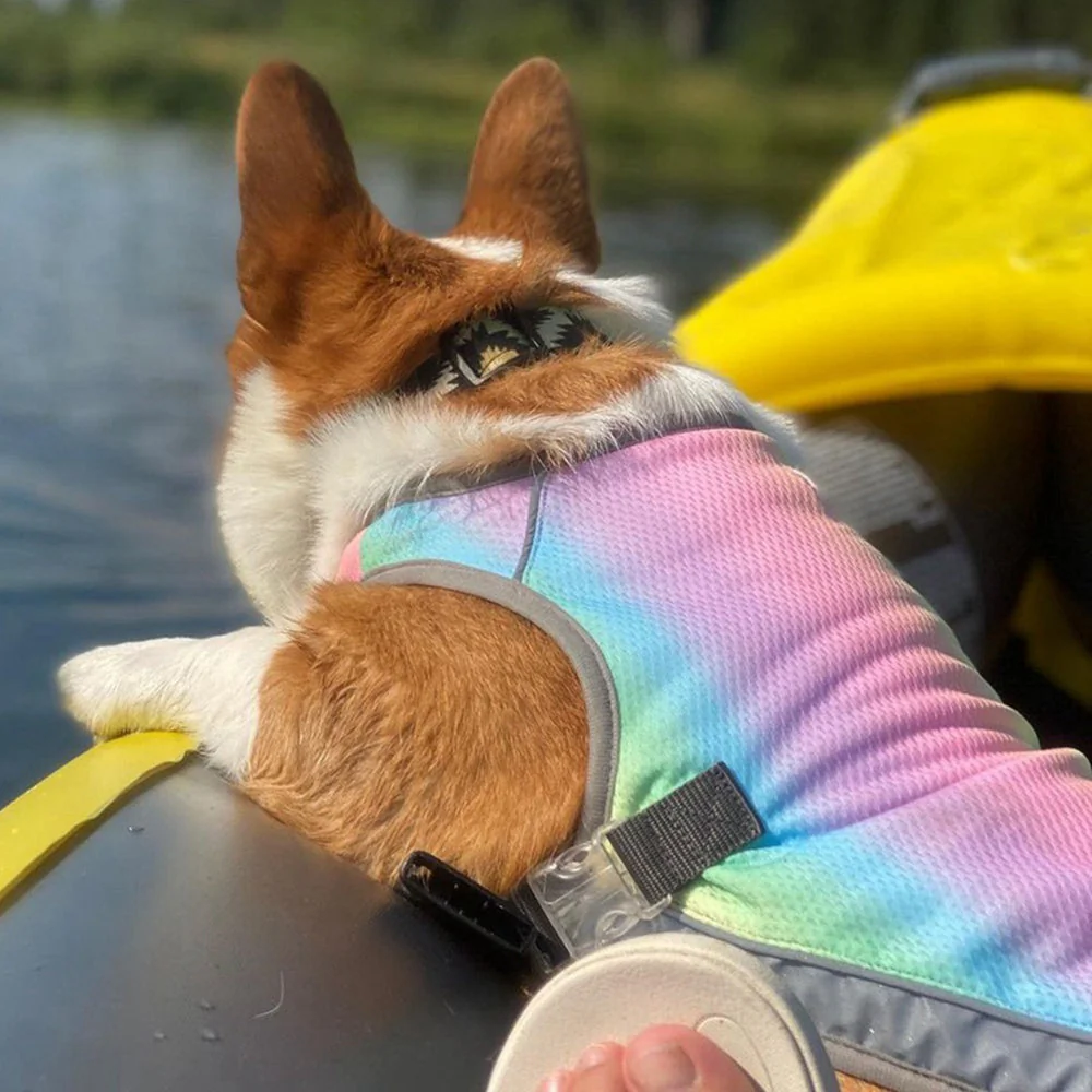 Verkoelend Hondenvest | Verstelbaar & Reflecterend | Hond Hittebescherming | Comfortabel Ademend Mesh | Harnasvriendelijk | Blauw & Regenboog | S-XXL - Image 6