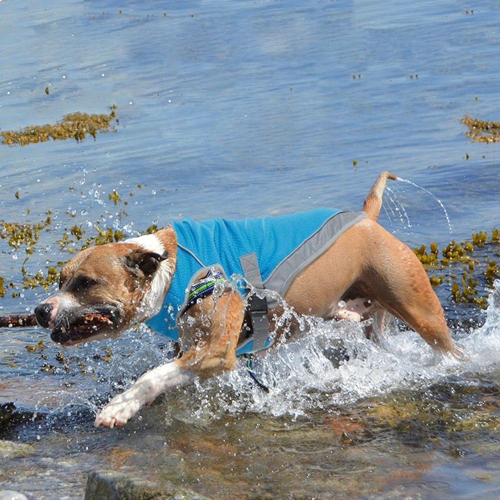 Verkoelend Hondenvest | Verstelbaar & Reflecterend | Hond Hittebescherming | Comfortabel Ademend Mesh | Harnasvriendelijk | Blauw & Regenboog | S-XXL - Image 7
